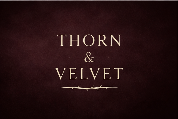 Thorn & Velvet
